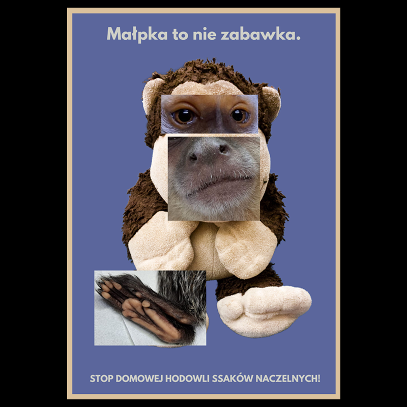 MONKEY IS NOT A TOY