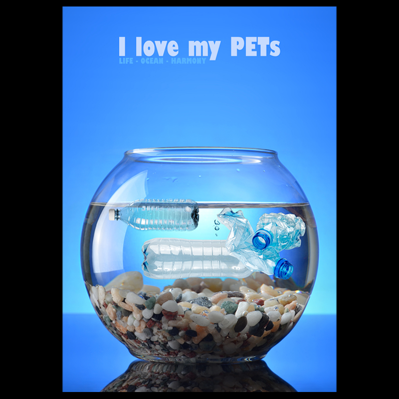 I LOVE MY PETS